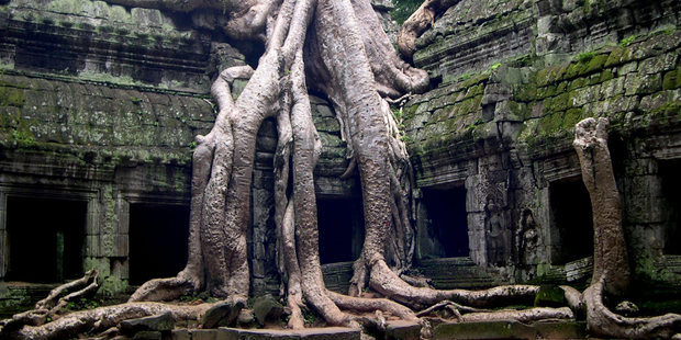 The jungle temple of Ta Prohm in Cambodia. Photo / Jim Eagles