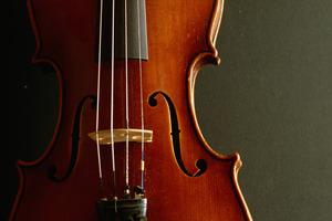 Photo / Thinkstock