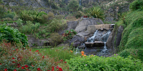 The subtropical Whangarei Quarry Gardens. Photo / Alexia Santamaria