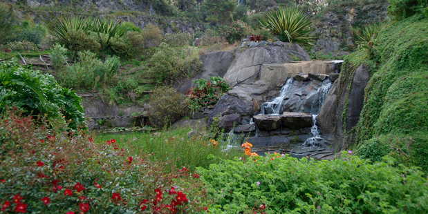 The subtropical Whangarei Quarry Gardens. Photo / Alexia Santamaria