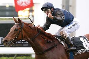 Damian Brown wins the Queensland Oaks on Quintessential. Photo / Courier Mail
