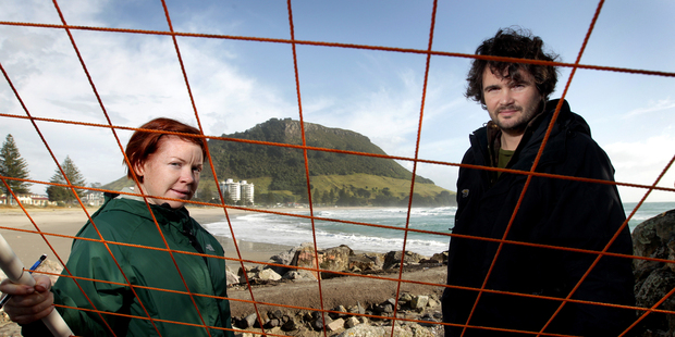 Stacie Lilley and Paul South, from the University of Canterbury, are using this quadrat to survey the effects of the Rena disaster on species. Photo / Alan Gibson