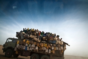 Transmigrations. Photo / Alfredo Bini