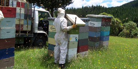 NZ Honey Company have launched products in UK supermarket chain Morrisons. Photo / Supplied