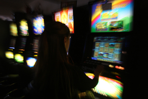 Photo / APN