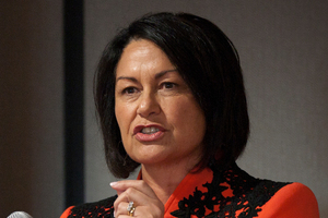 Education Minister Hekia Parata. Photo / Greg Bowker