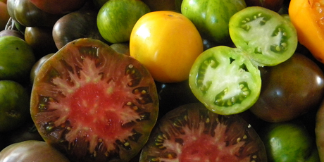Heirloom tomatoes on display at the Noosa Food and Wine Festival. Photo / Nici Wickes