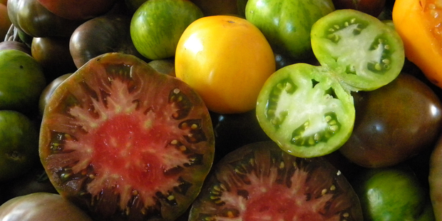 Heirloom tomatoes on display at the Noosa Food and Wine Festival. Photo / Nici Wickes