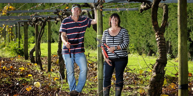 Growers Mat and Kris Johnson: 'plenty of tears have been shed'. Photo / Alan Gibson