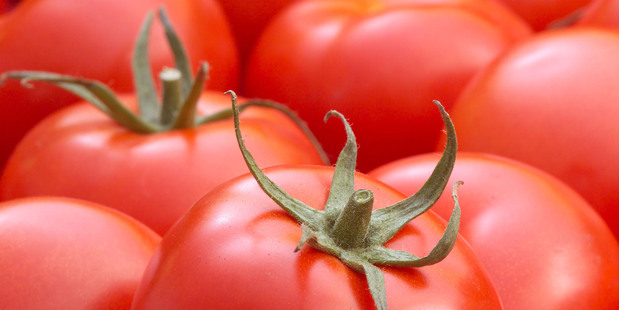 Italian processed tomatoes were dumped onto the New Zealand market. Photo / Supplied