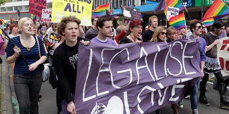 Protesters have called for gay adoption to be legalised but there is a dearth of data on male same-sex adoption. Photo / Mark Mitchell