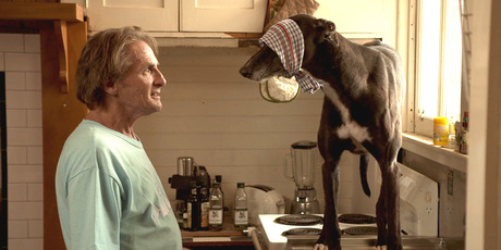 New TV3 comedy Hounds is sweet, silly and amazingly rude. Photo / Supplied