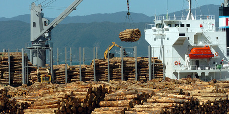 Revenue from forestry exports is predicted to remain steady at about $4.5 billion before rising to $5.3 billion a year by 2016. Photo / NZPA