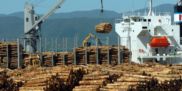 Revenue from forestry exports is predicted to remain steady at about $4.5 billion before rising to $5.3 billion a year by 2016. Photo / NZPA