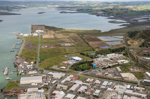 Port Nikau Photo / Bruce Clarke