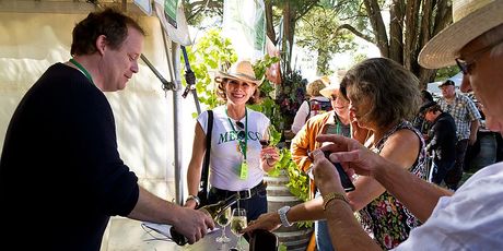 Festivalgoers in Wairarapa are spoiled for choice. Photo / Philip Merry