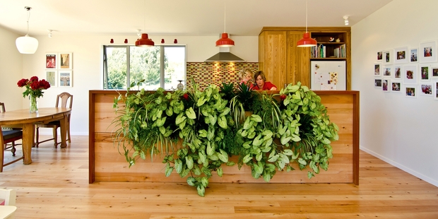 The 'living wall' in the Southwards' home is a focal point. Photo / Your Home & Garden
