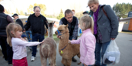 Animal, vegetable or mineral, it's all on show at Fieldays. Photo / Jeff Brass