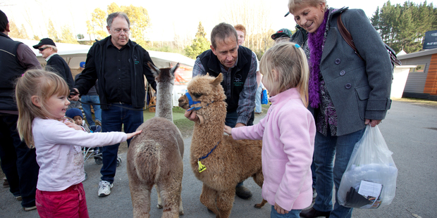 Animal, vegetable or mineral, it's all on show at Fieldays. Photo / Jeff Brass