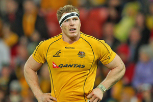 David Pocock has been hailed a "freak" by Wallabies coach Robbie Deans. Photo / Getty Images
