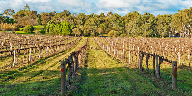 Wine growing regions around Australia have planned events to warm you up this winter. Photo / Thinkstock