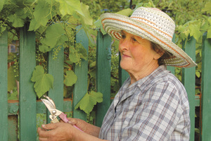 The OECD Pensions Outlook says 67 or higher is 'becoming the new 65'. Photo / Thinkstock