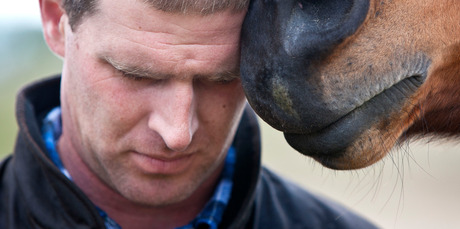 Nathan gets a nuzzle from Daisy. Photo / Tracey Grant
