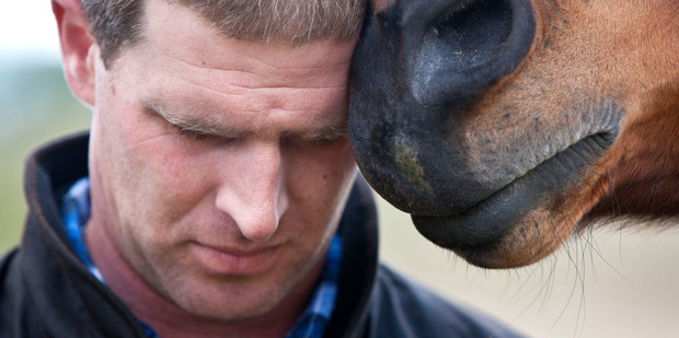 Nathan gets a nuzzle from Daisy. Photo / Tracey Grant