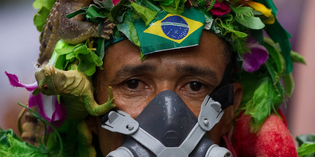An activist attends the Global March, part of "People's Summit", running parallel to Rio+20. Photo / AP