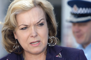 Judith Collins. Photo / NZ Herald