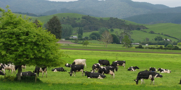 Agricultural output jumped 2.3 per cent in the quarter to its highest level since December 2006. Photo / APN