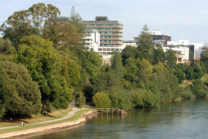Waikato Regional Council is assessing dozens of office blocks around Hamilton. Photo / NZ Herald.
