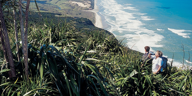Maunganui Bluff on the west coast of Northland. Photo / Supplied