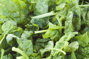 A Swedish study shows why spinach makes us stronger. Photo / Thinkstock