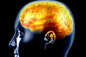The brain can heal itself better than first thought.
Photo / Thinkstock