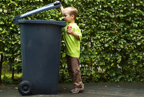 Photo / Thinkstock