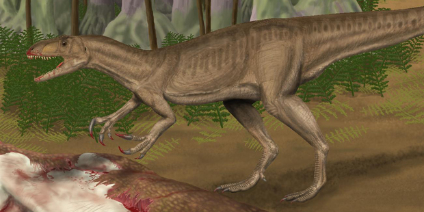 Life restoration of Australovenator wintonensis feeding on a carcass. Photo / Wikimedia Commons image posted by user Smokeybjb