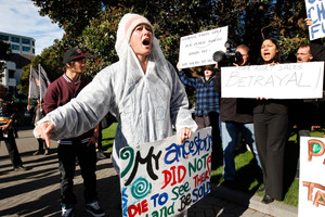 Aroha Priest, of Wellington, during a small but vocal protest against the sale of state assets at Parliament yesterday. Photo / Mark Mitchell