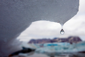 Evidence of global warming is everywhere. Photo / AP