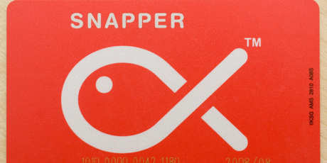 The Snapper card is designed to be used on various forms of public transport. Photo / Paul Estcourt