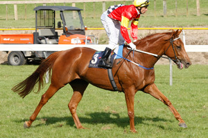 The Wyong Cup is on the agenda for Ginga Dude who beat Booming in the Tattersalls Cup at Eagle Farm on Saturday. Photo / Kenny Rodger
