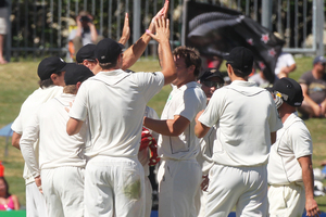 The DRS recommendation was not put to a vote. Photo / Hawkes Bay Today