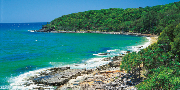 There's plenty to keep nature lovers occupied at Noosa National Park. Photo / Tourism Queensland