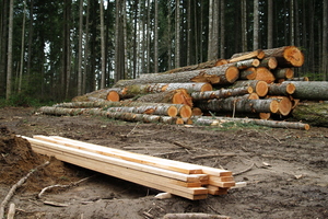 The Department of Labour is investigating the accident. Photo / Thinkstock