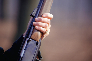 File photo / Thinkstock