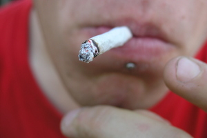 The vast majority of drug busts involve cannabis - and schools often notice a spike around 'harvesting season'. Photo / Thinkstock
