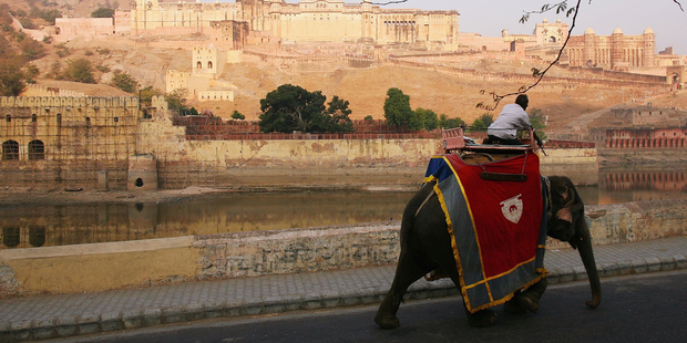 An elephant walks to work, carrying tourists up to the 16th century Amber Fort outside of Jaipur. Photo / Supplied