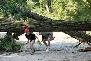 Residents of the Cleveland Park neighborhood of Washington, navigate underneath a downed tree. Photo / AP