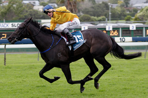 James McDonald winning the Telecom NZ Derby at Ellerslie on Silent Achiever in March. Photo / Richard Robinson