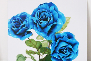 Blue Roses #1 by Richard Maloy at Sue Crockford Gallery. Photo / Supplied